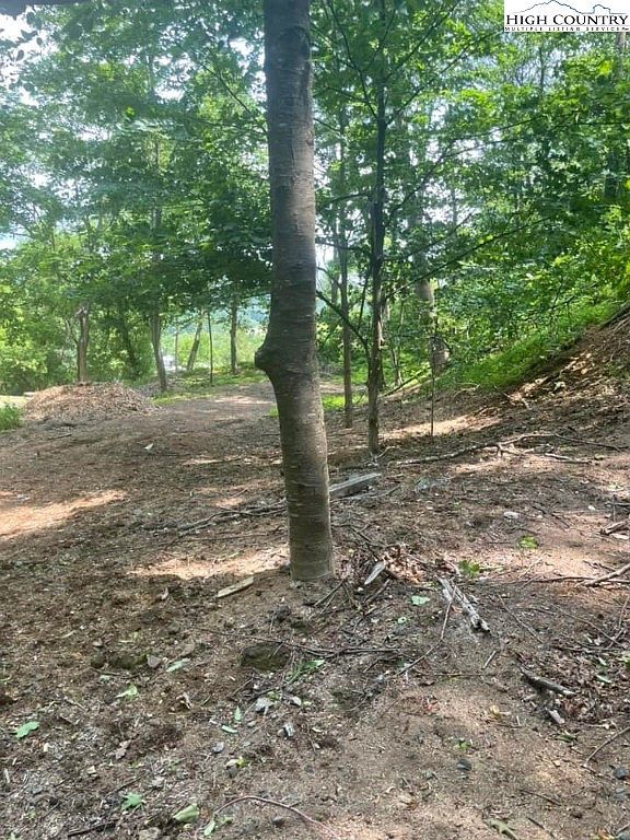 Tbd Spruce St West Jefferson, NC 28694 - Thumbnail 5