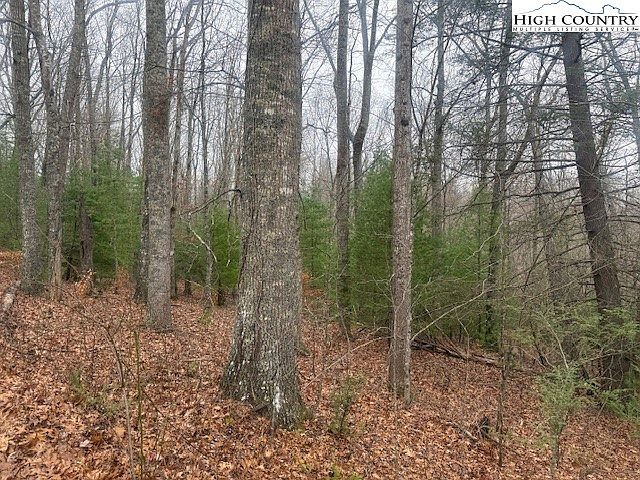 Clearview Rdg Crumpler, NC 28617 - Thumbnail 5