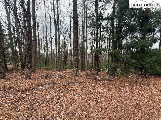 Jobs Rd Laurel Springs, NC 28644 - Thumbnail 5