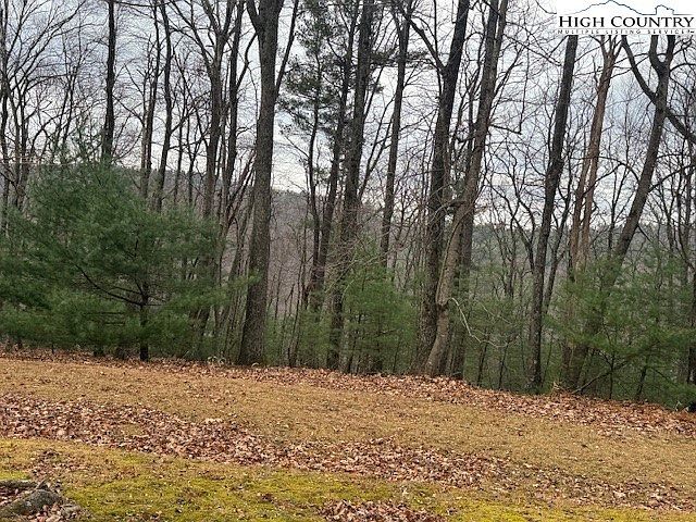 Jobs Rd Millers Creek, NC 28651 - Thumbnail 5