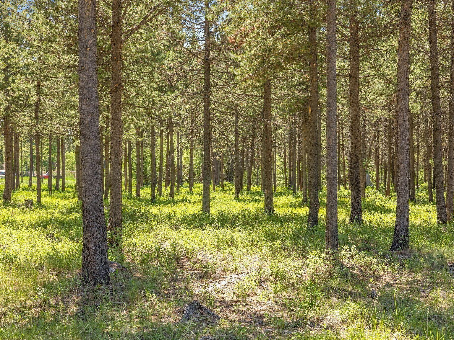 17113 Covina Rd Bend, OR 97707 - Thumbnail 5