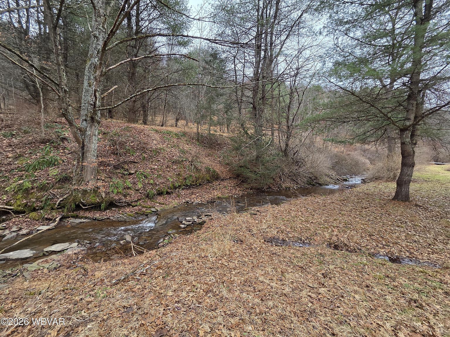 4032 Jobs Run Rd Jersey Shore, PA 17740 - Thumbnail 5