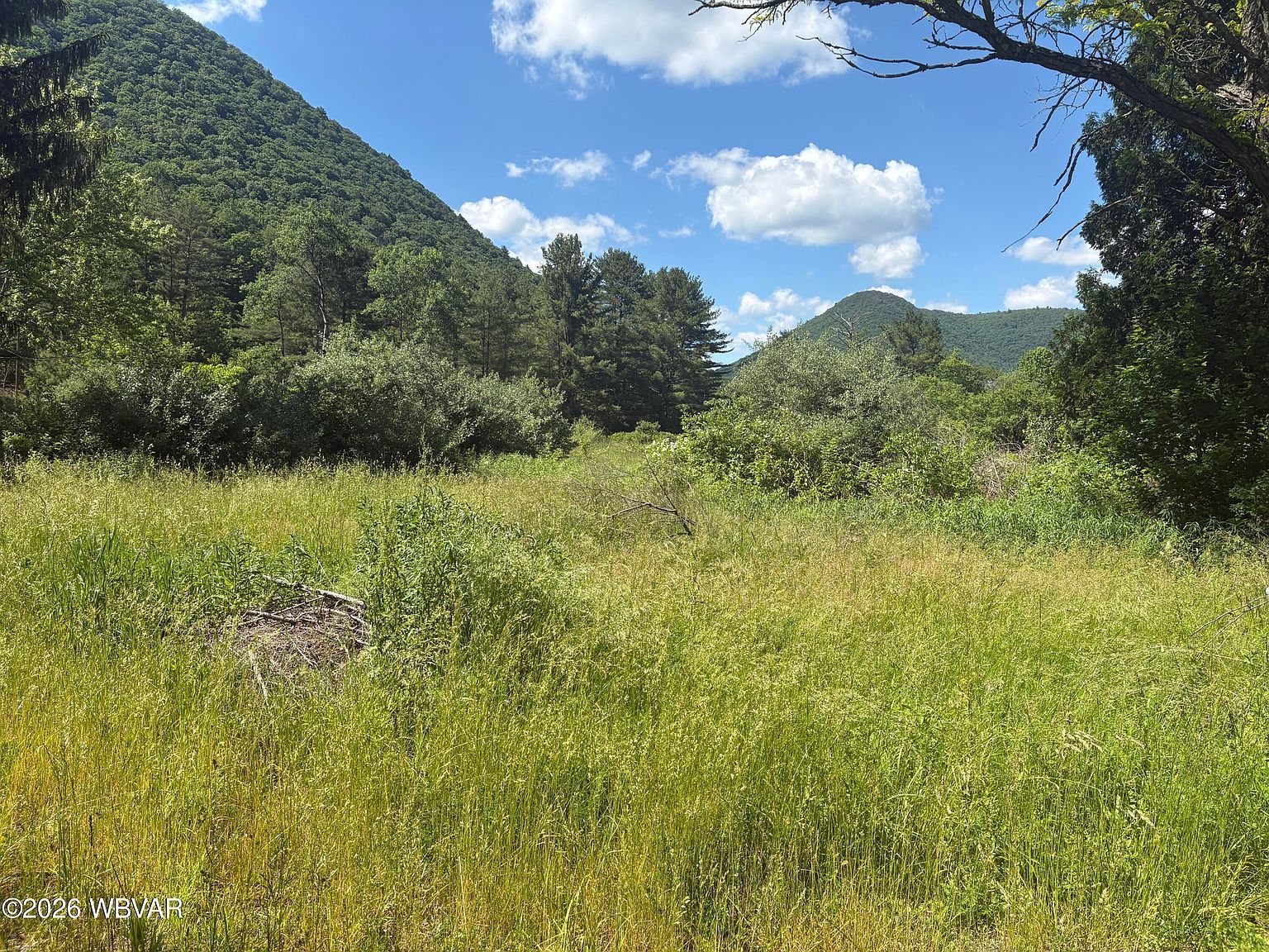 158 Cornwall Ave Trout Run, PA 17771 - Thumbnail 5