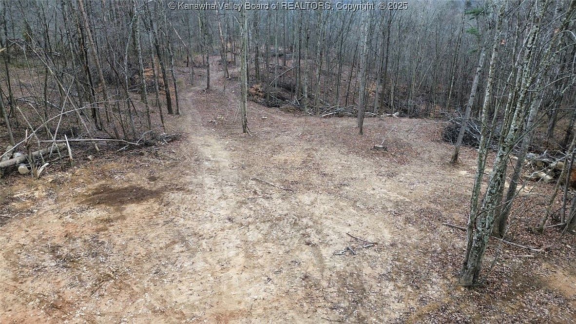 0 Stone Lick Rd Parcel B Kenna, WV 25248 - Thumbnail 5