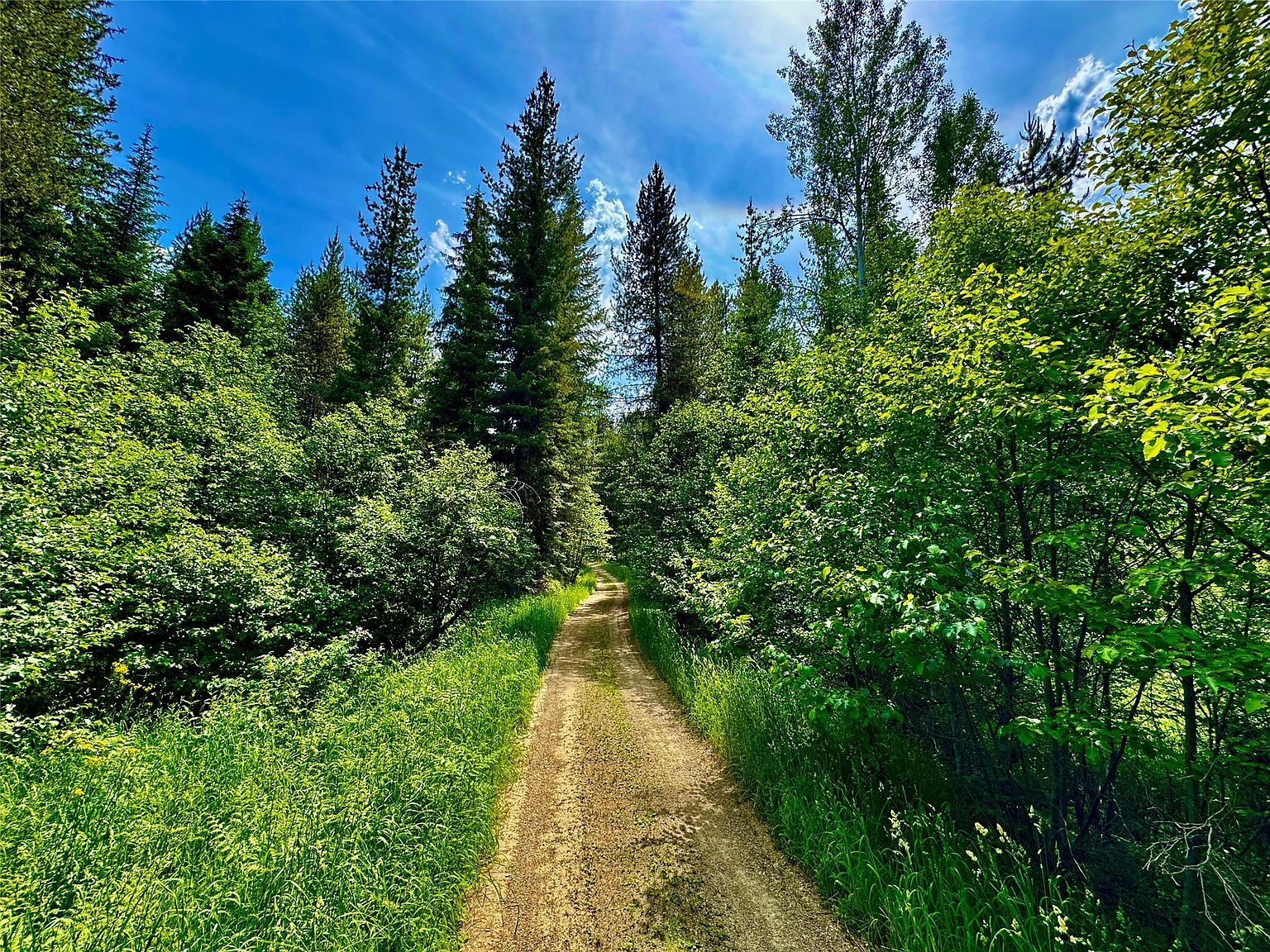 17 Twenty Peak Gulch Ln Trout Creek, MT 59874 - Thumbnail 5