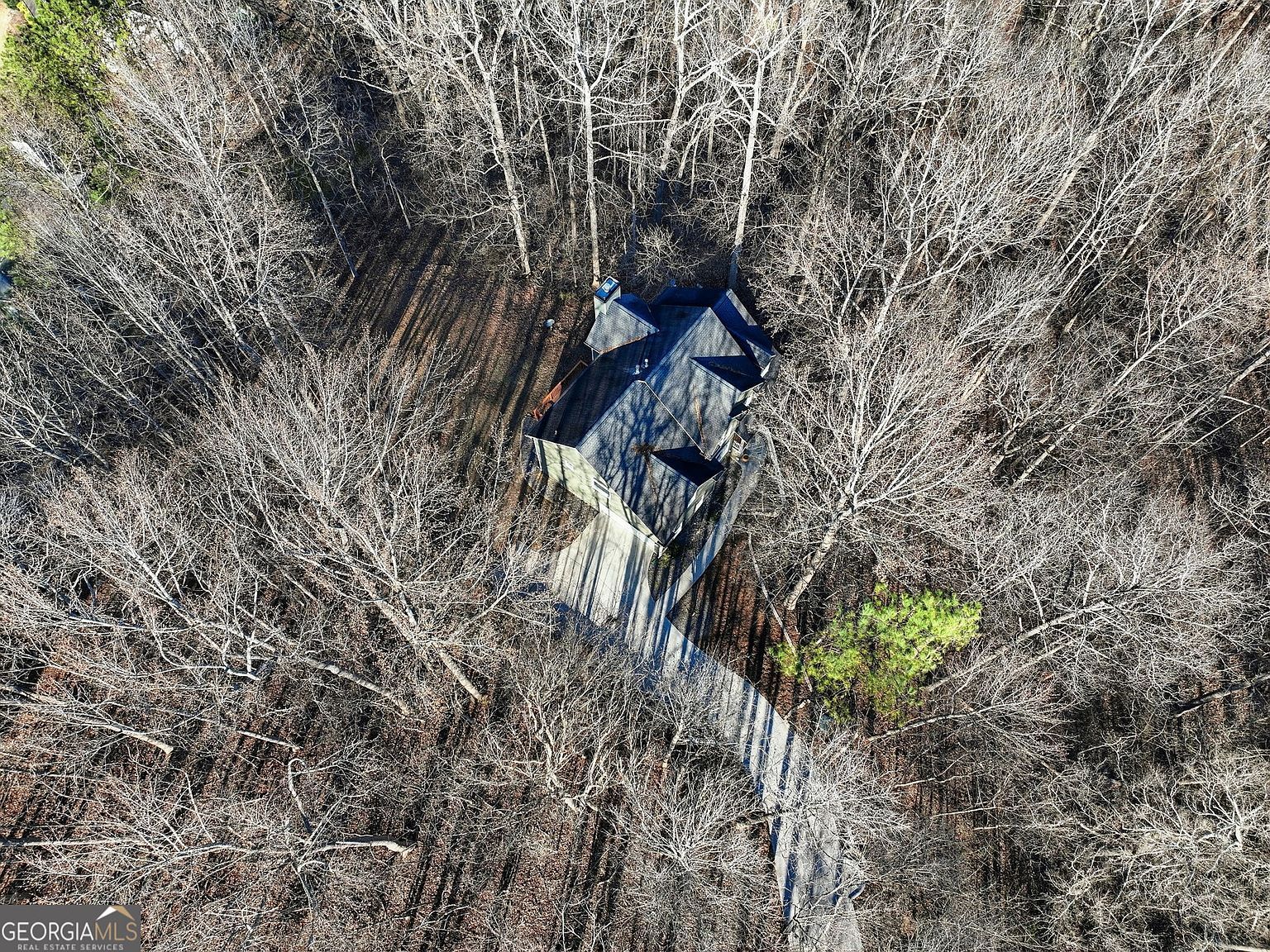 9240 Old Preserve Trl Ball Ground, GA 30107 - Thumbnail 5