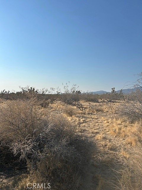 0 E Ave W #8 Palmdale, CA 93591 - Thumbnail 5