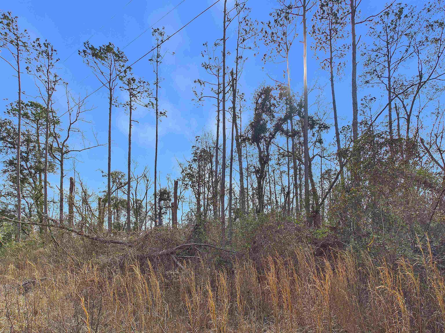 Vacant Ne River Park Rd Lee, FL 32059 - Thumbnail 5