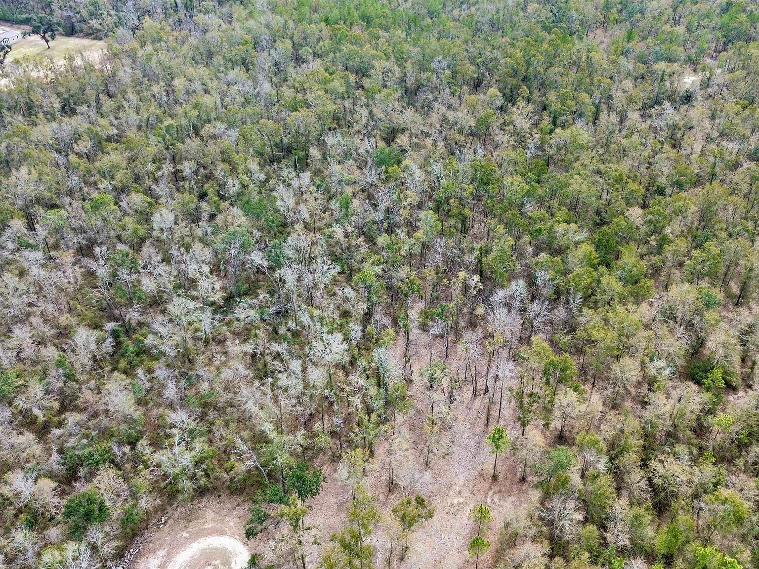 Vacant Ne Bush Way Madison, FL 32340 - Thumbnail 5