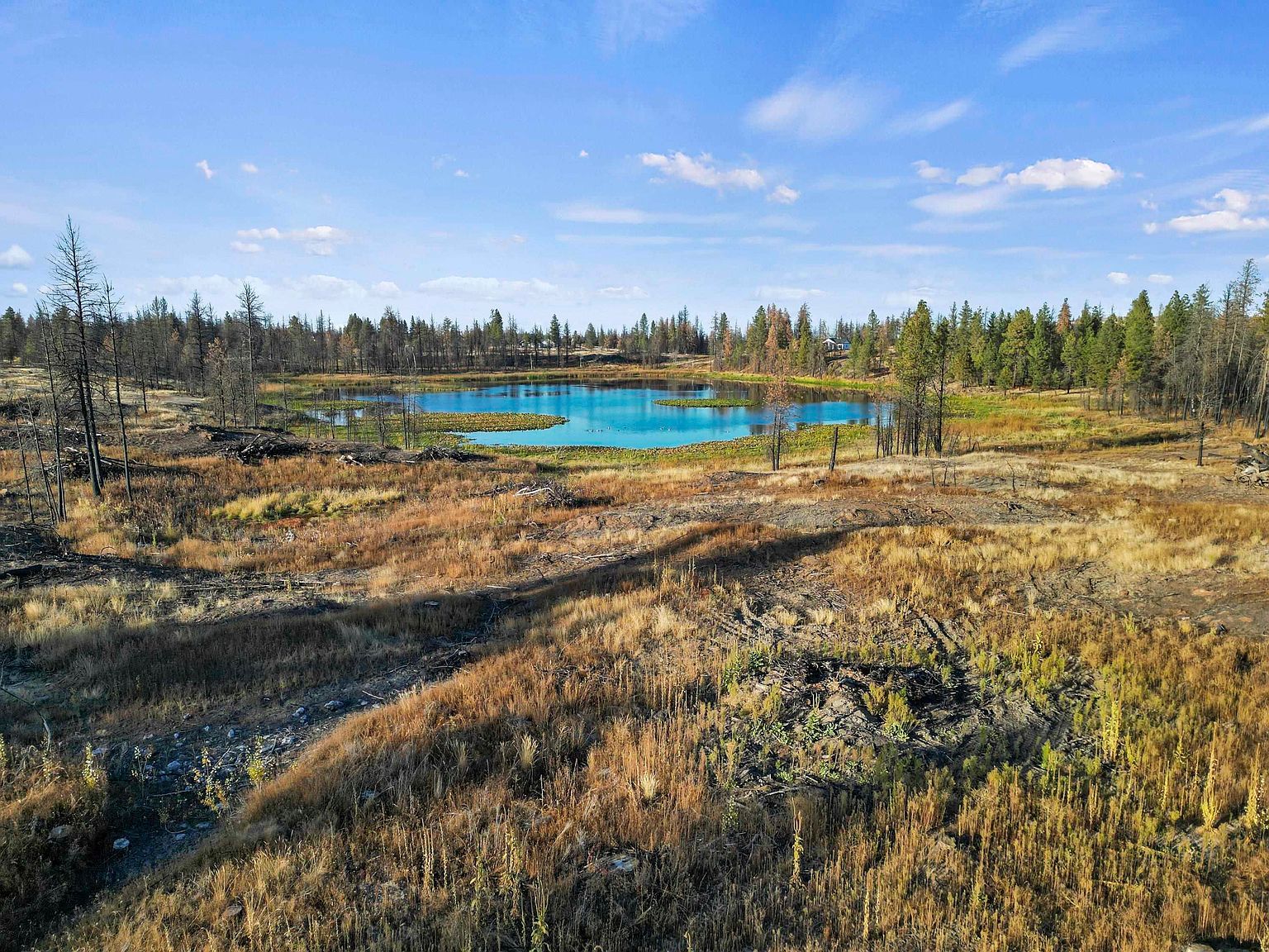 W Page Pond Ln Medical Lake, WA 99022 - Thumbnail 5