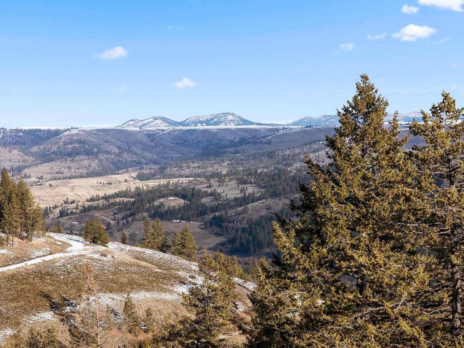 34820 Partridge Ln N Davenport, WA 99122 - Thumbnail 5