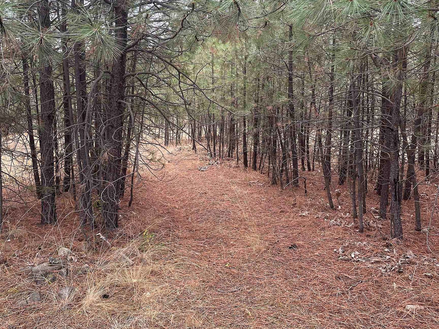 Nka Rocky Top Way Deer Park, WA 99006 - Thumbnail 5