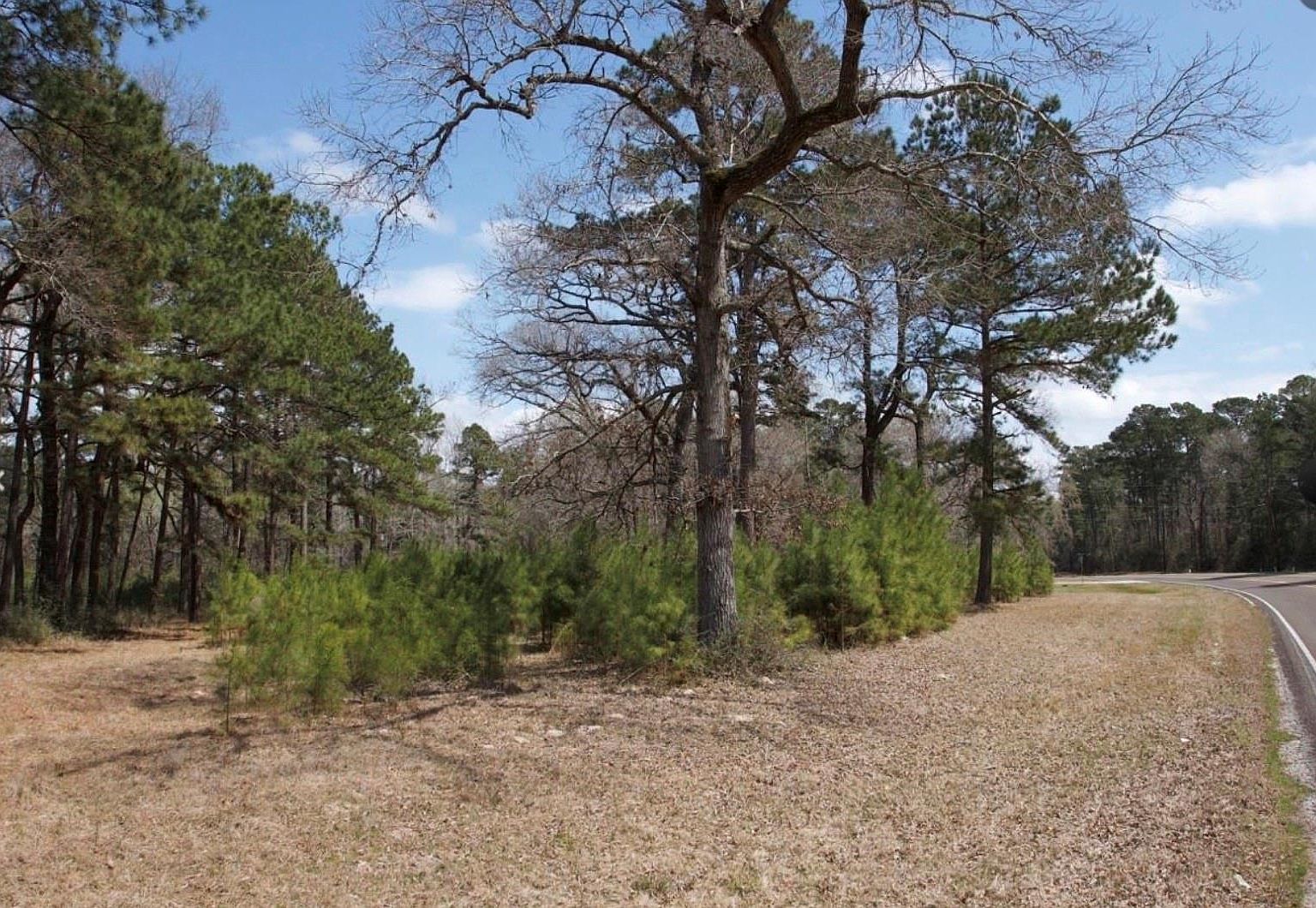 4345 Fm 3188 Trinity, TX 75862 - Thumbnail 5