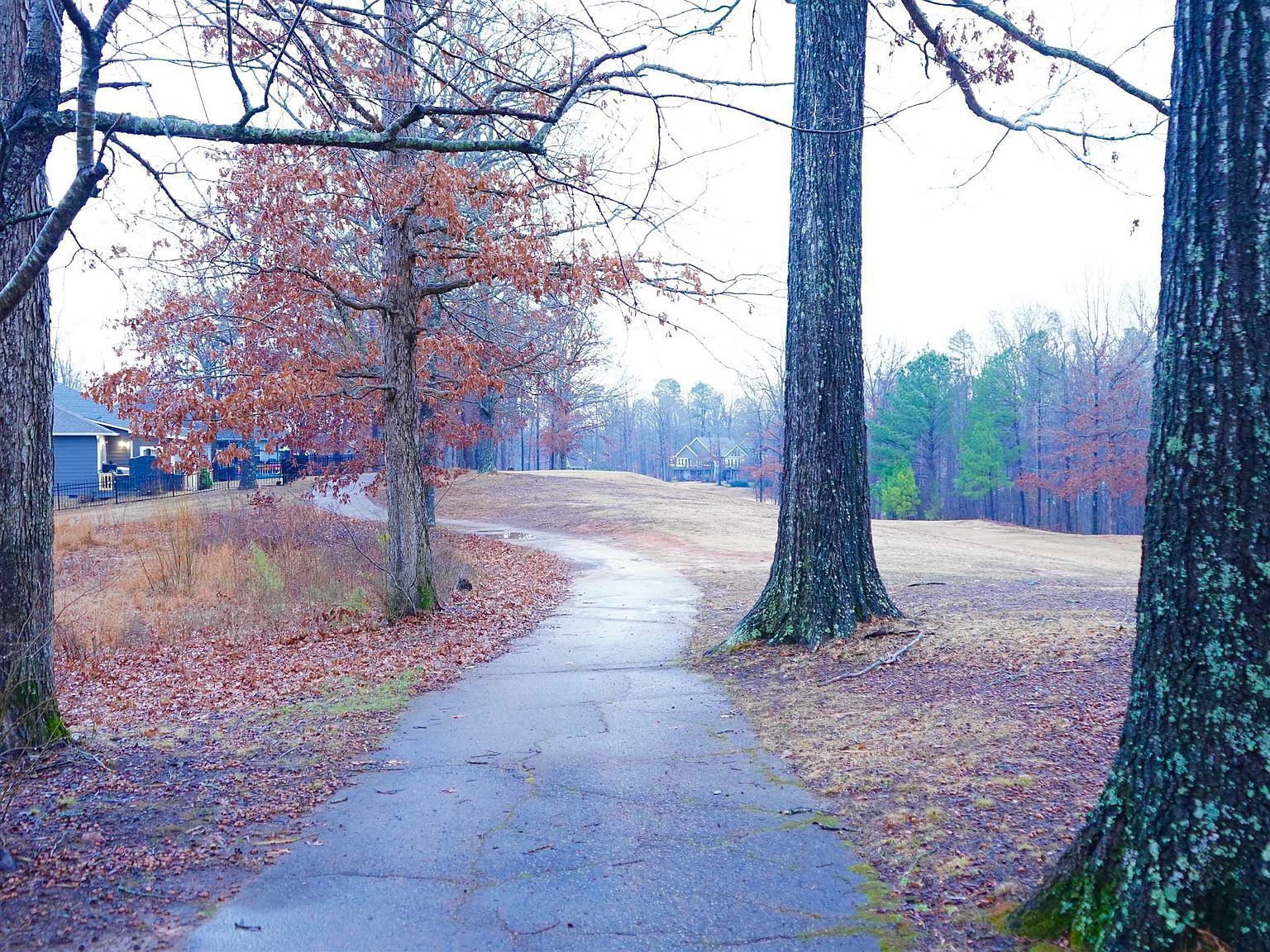 170 Ping Hill Cv Counce, TN 38326 - Thumbnail 5