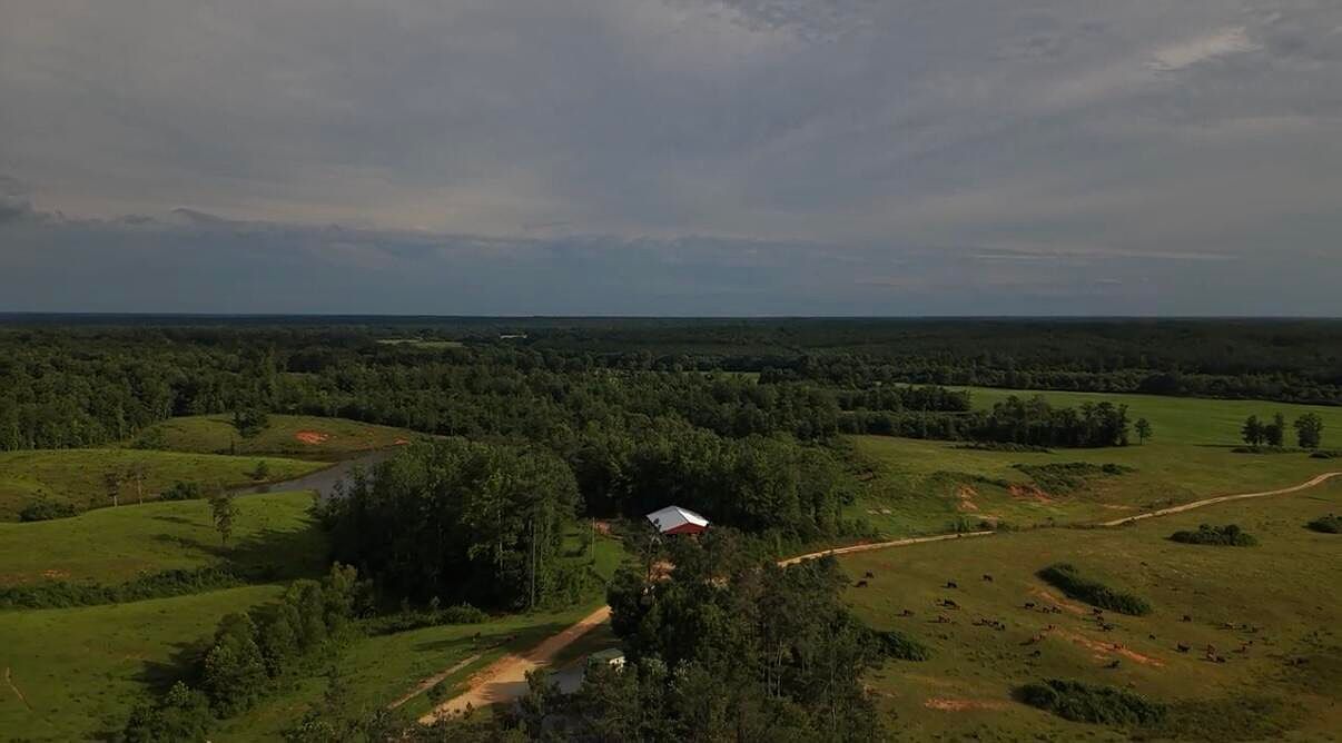 227B County Road 5091 Booneville, MS 38829 - Thumbnail 5