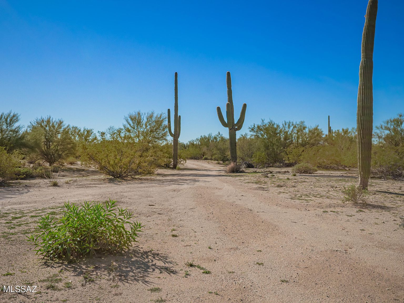 40679 S Staghorn Ln #F Marana, AZ 85658 - Thumbnail 5