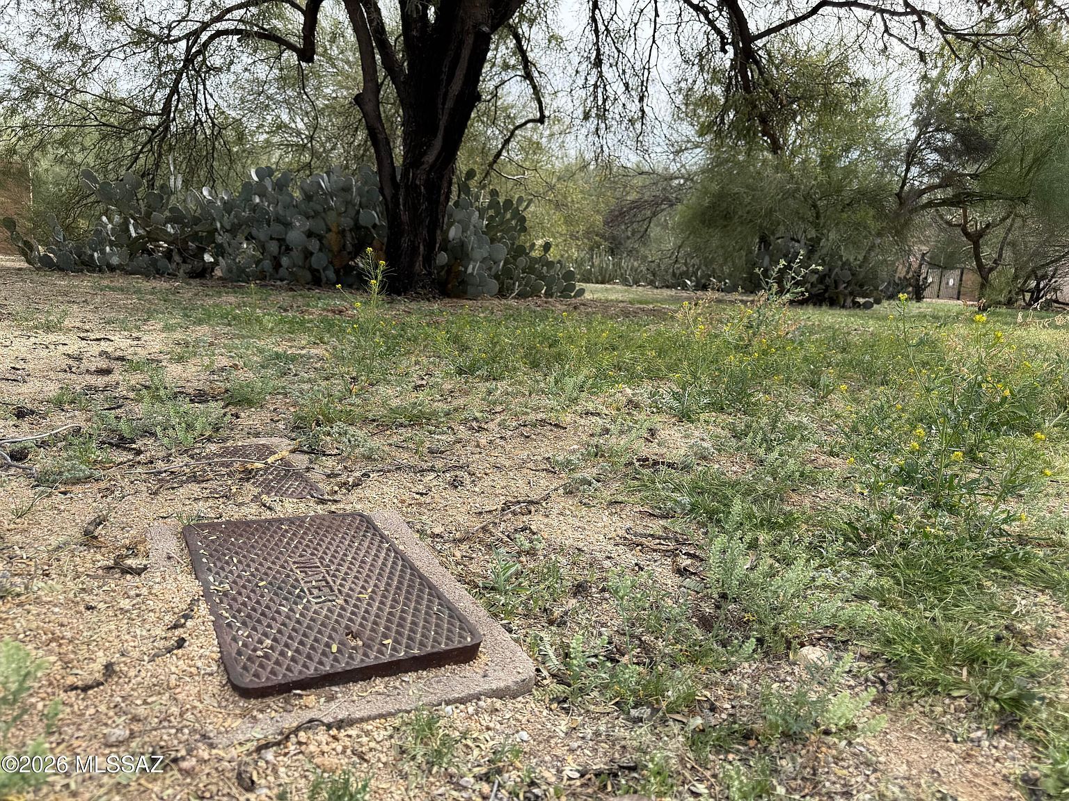 1150 N La Canoa #110 Green Valley, AZ 85614 - Thumbnail 5