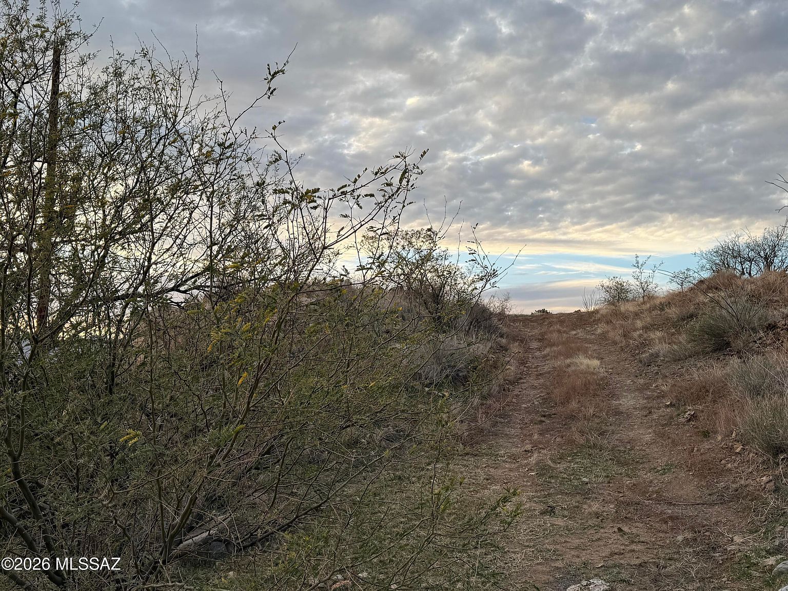 1724 Avenida Calamar #58-RIO Rio Rico, AZ 85648 - Thumbnail 5