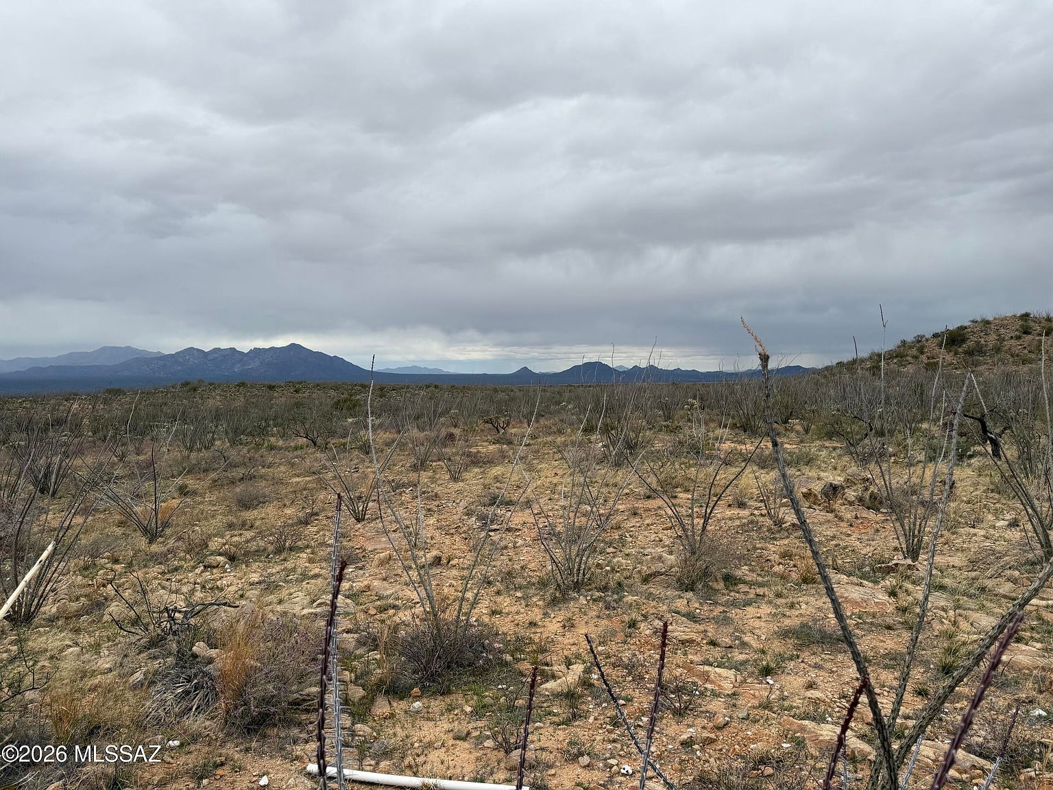 16300 S Alsip St Tucson, AZ 85736 - Thumbnail 5