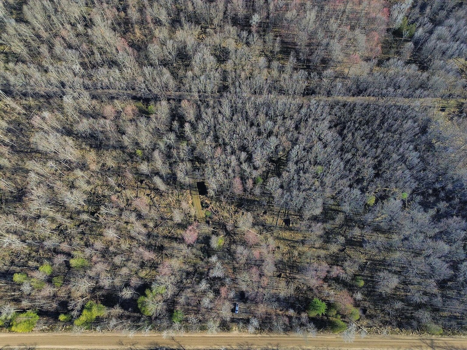 10830 W Three Mile Rd Branch, MI 49402 - Thumbnail 5