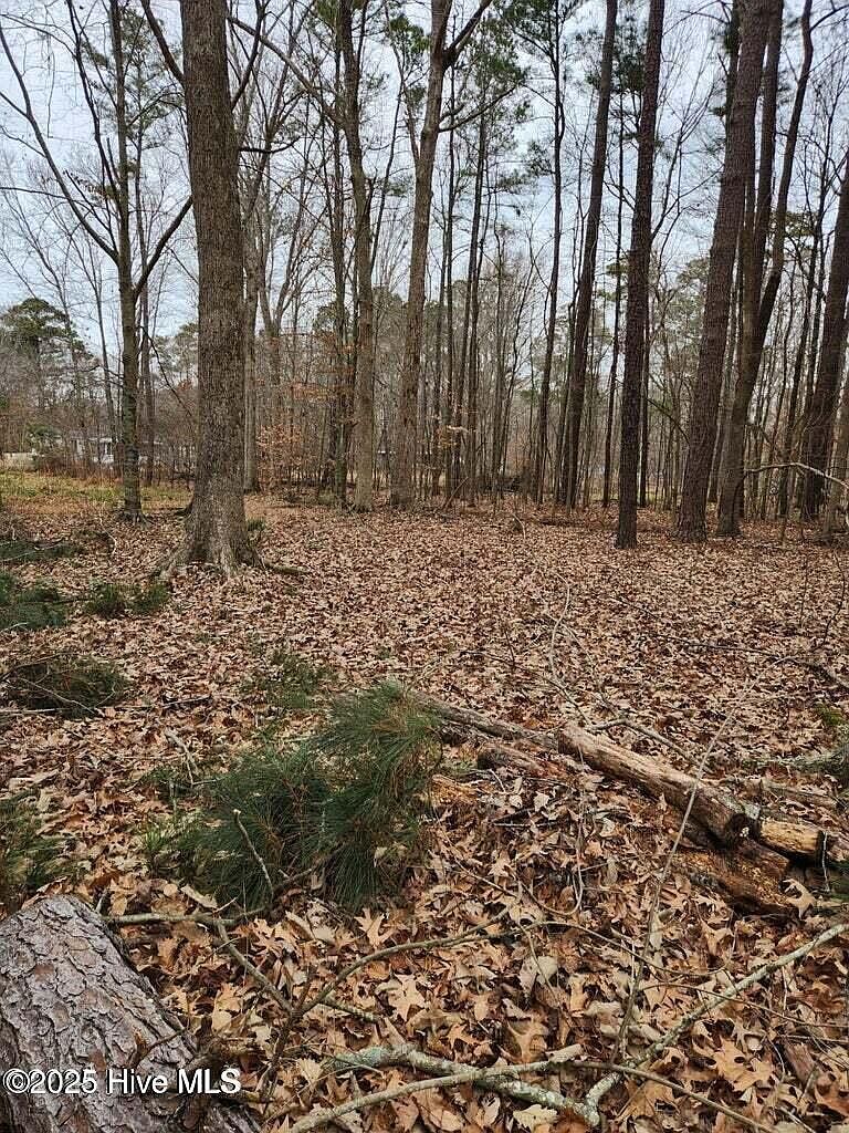146 Tranquility Ln Lot 43 Hertford, NC 27944 - Thumbnail 5