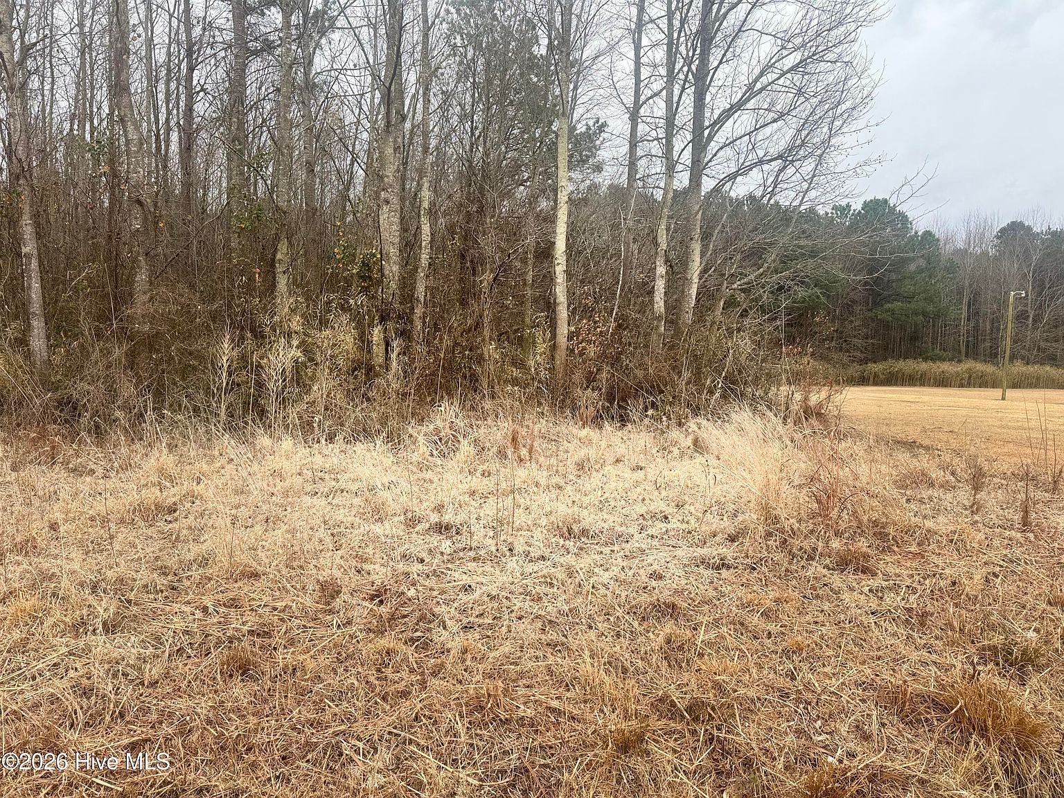 0 Center Hill Hwy Hertford, NC 27944 - Thumbnail 5