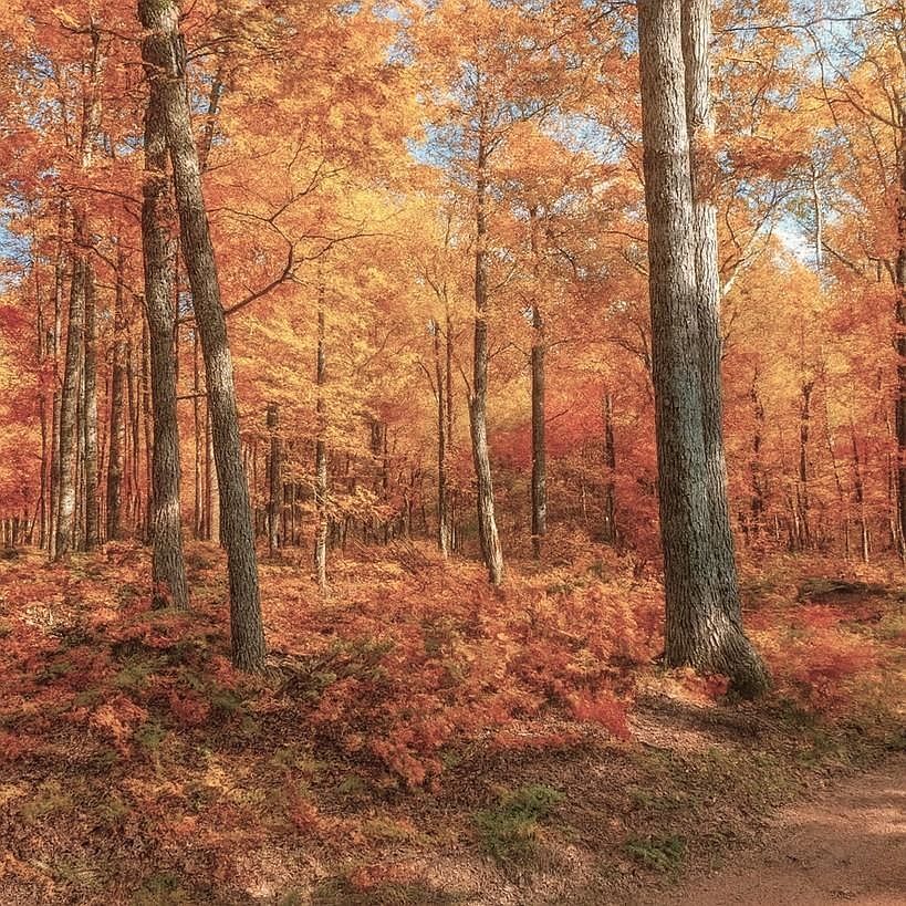 9 Power Line Rd Iron River, WI 54847 - Thumbnail 5