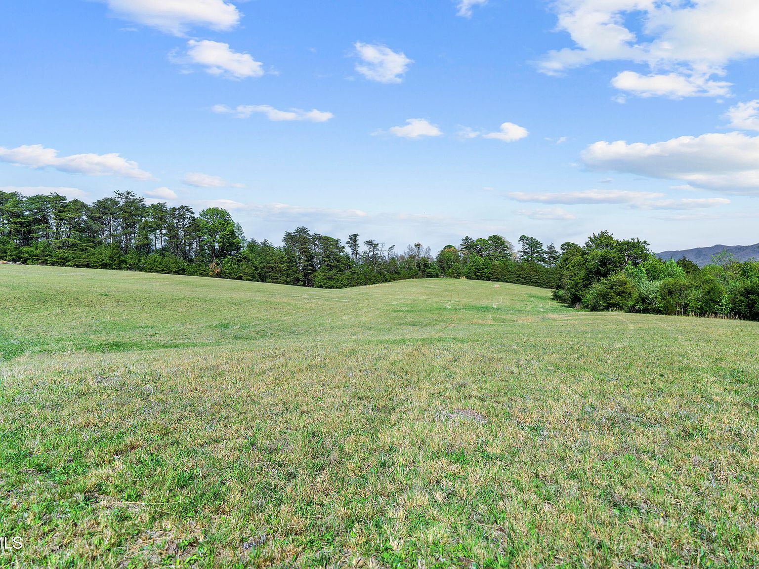 9 Ash Meadow Dr Greeneville, TN 37743 - Thumbnail 5