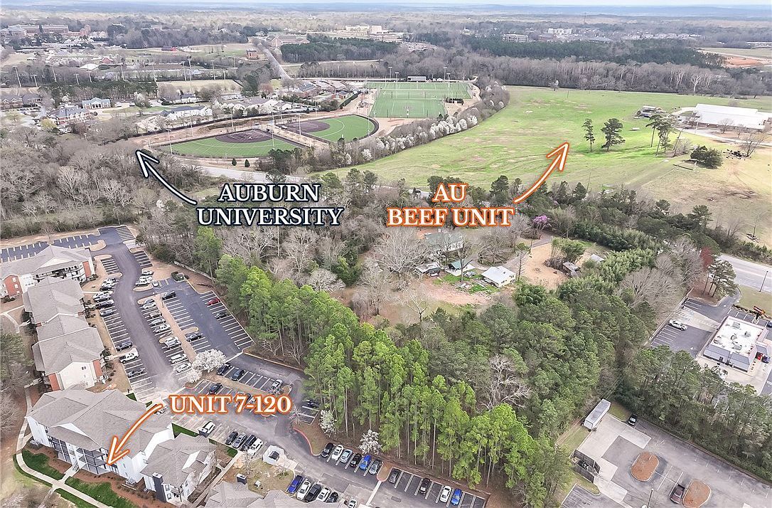626 Shug Jordan Pkwy #7120 Auburn, AL 36830 - Thumbnail 5