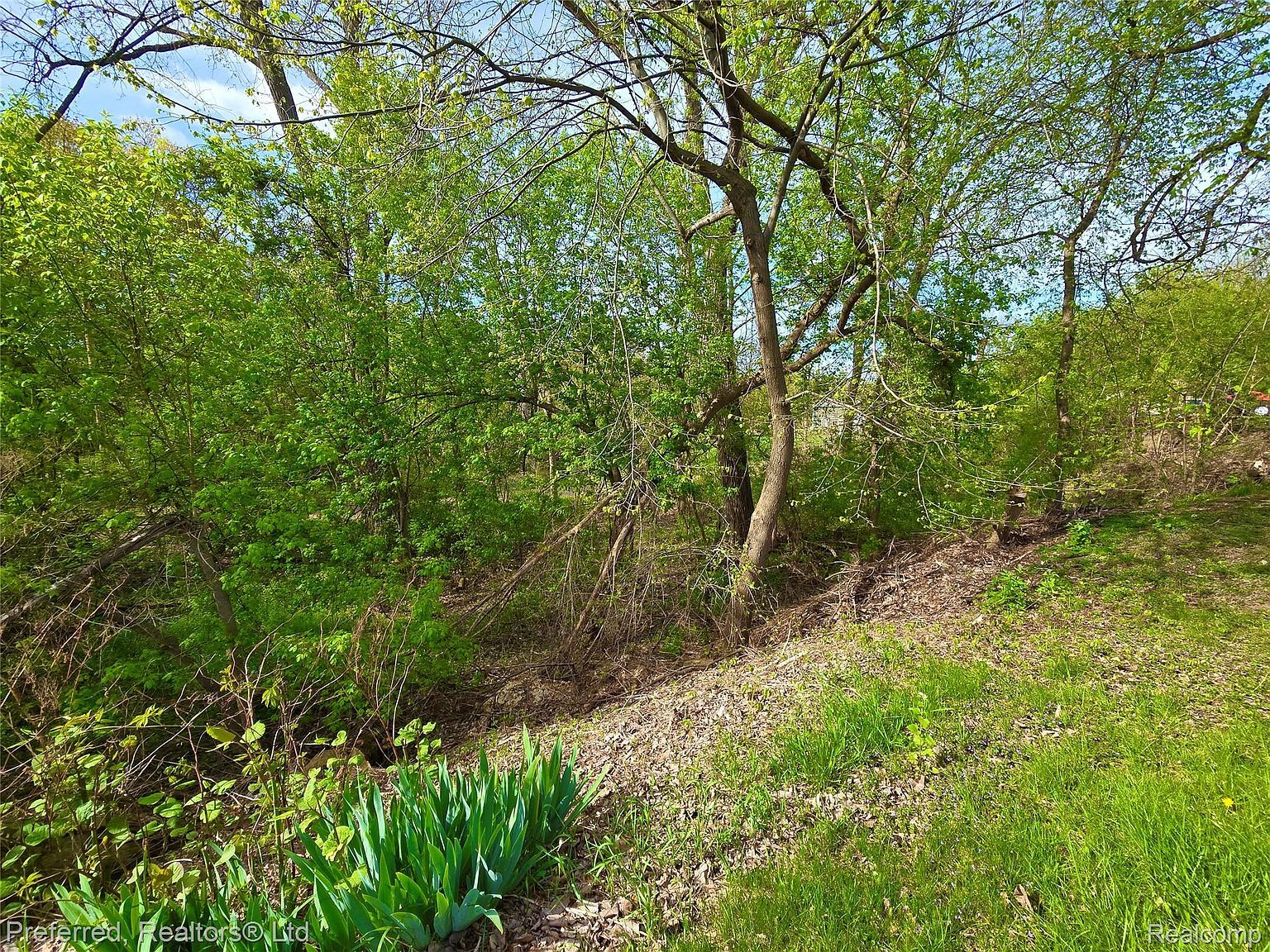 9691 Elizabeth Lake Rd White Lake, MI 48386 - Thumbnail 5