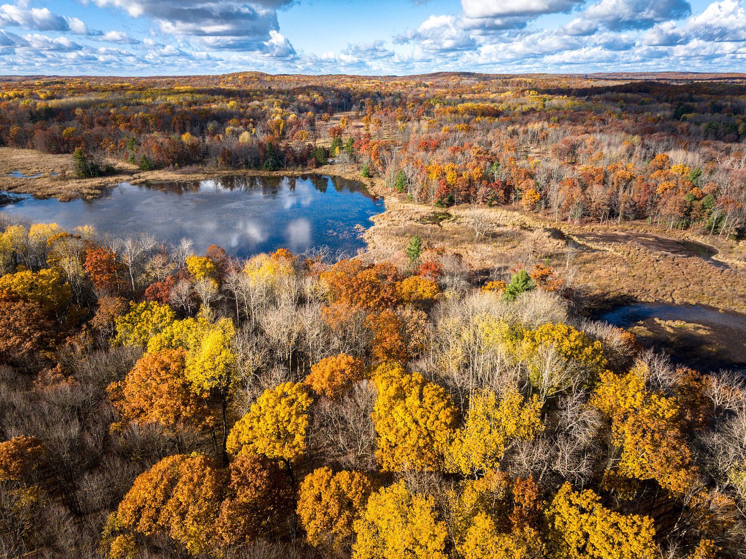 8686 E Three Mile Rd White Cloud, MI 49349 - Thumbnail 5