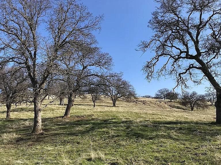 Lanford Pacheco Rd Valley Springs, CA 95252 - Thumbnail 5