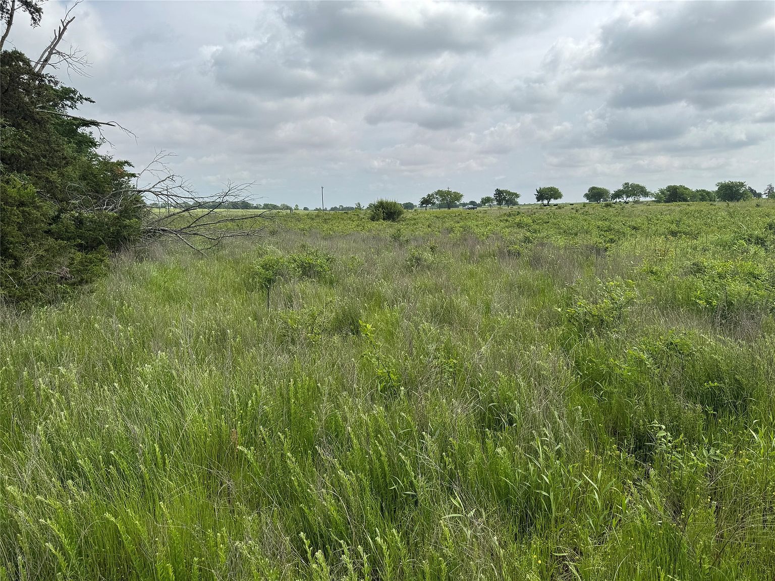 Fm 901 Gordonville, TX 76245 - Thumbnail 5