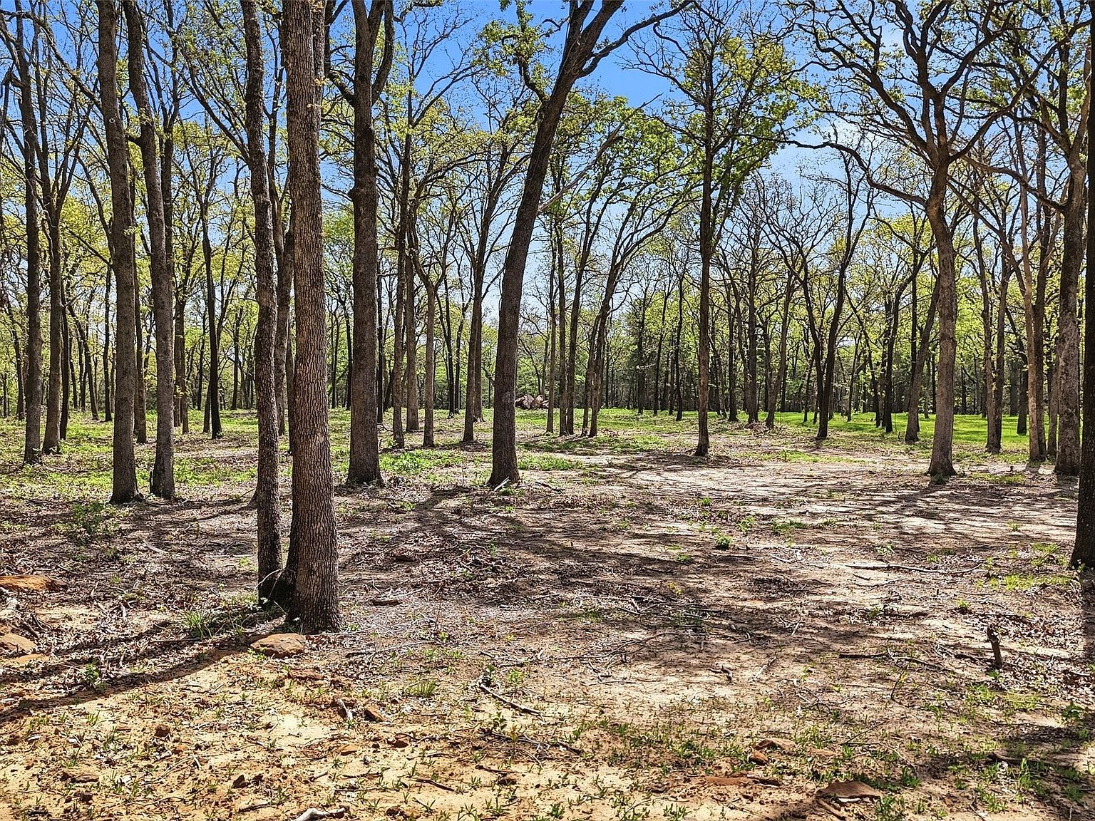 13 Buck Trail Rd Pottsboro, TX 75076 - Thumbnail 5
