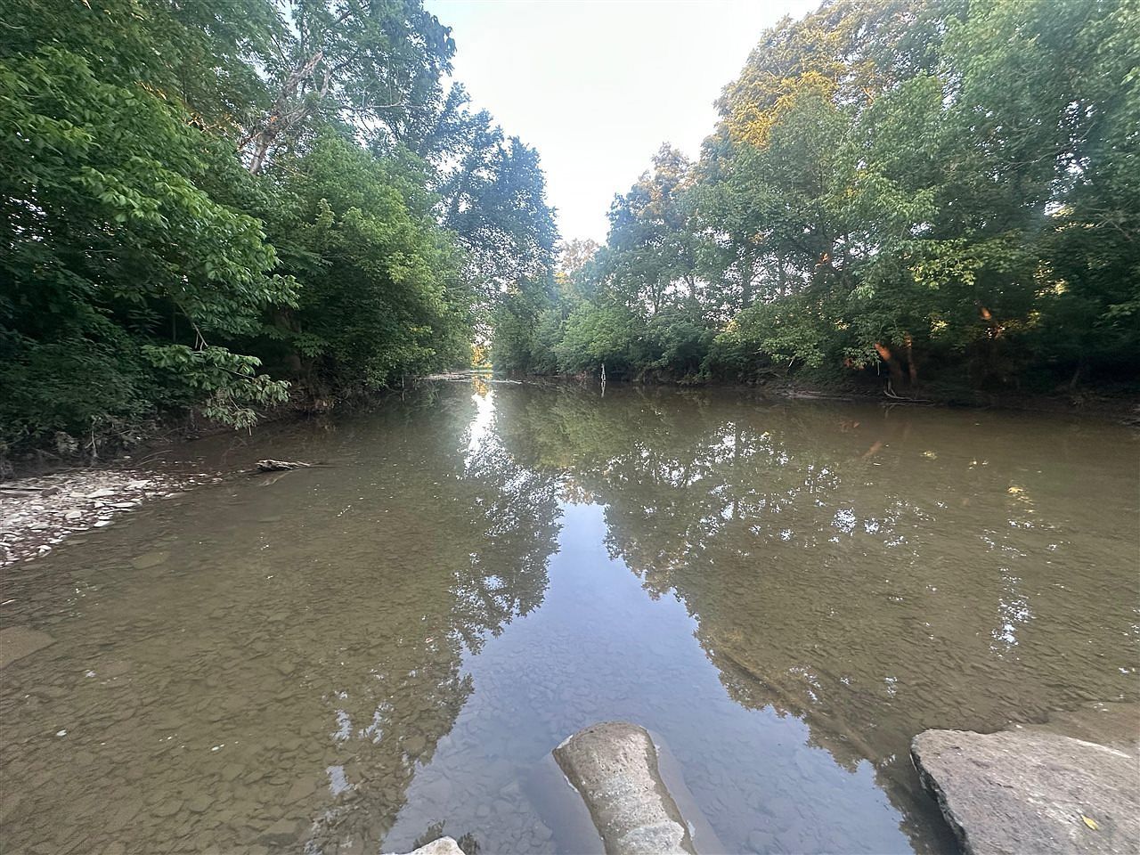 0 State Highway 49 Bradfordsville, KY 40009 - Thumbnail 5