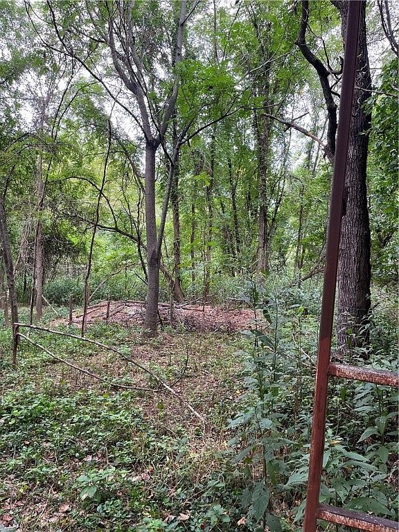 Gum Springs Rd Parthenon, AR 72666 - Thumbnail 5