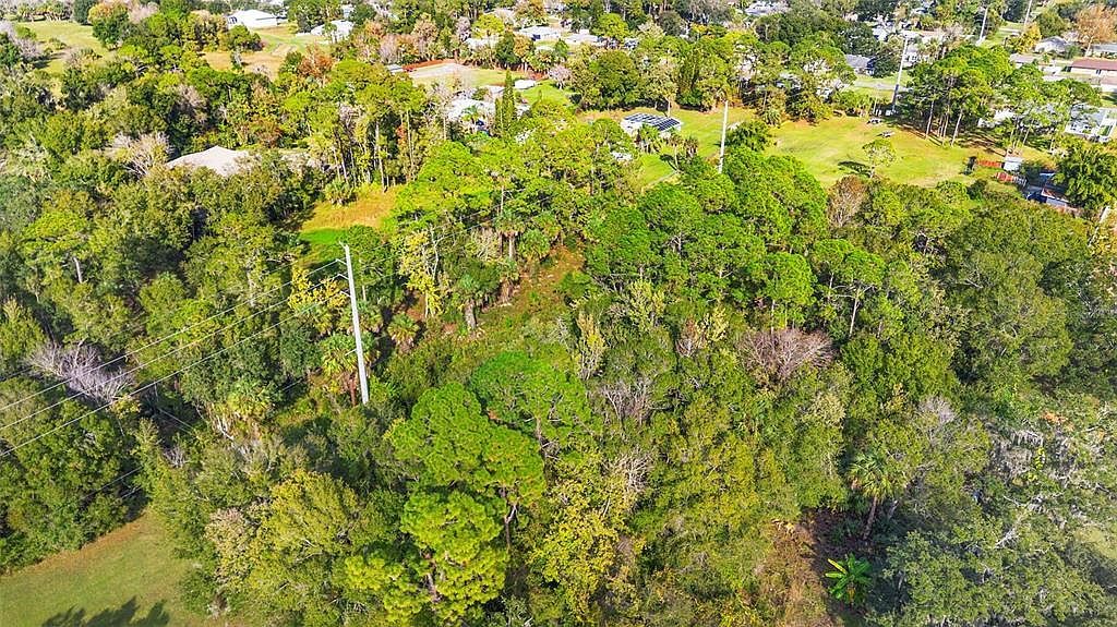 Pinedale Rd Lot 7 Edgewater, FL 32132 - Thumbnail 5