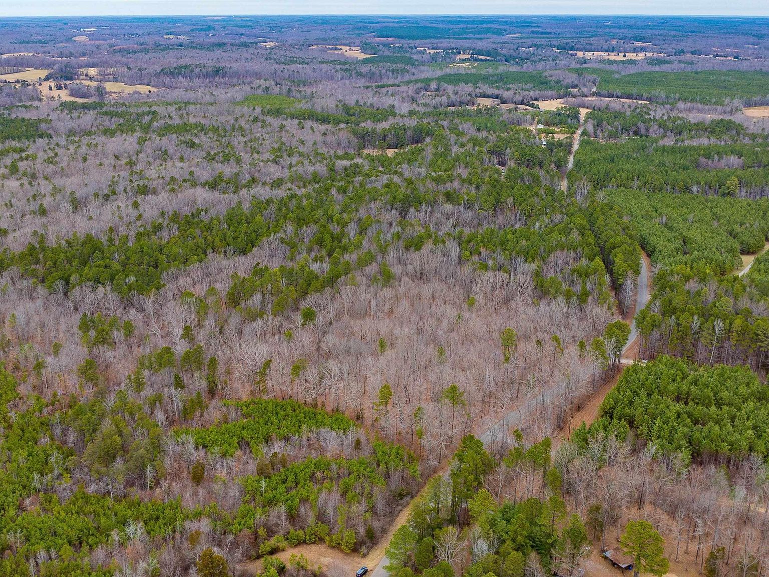 1 Piney Green Rd Crewe, VA 23930 - Thumbnail 5