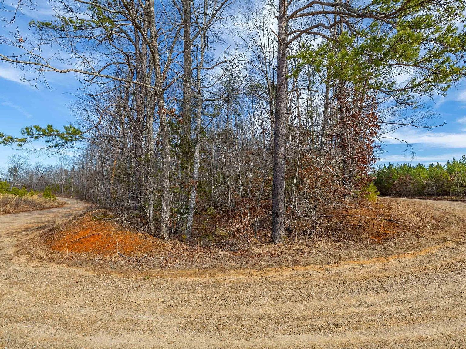 Bible Way Rd Victoria, VA 23974 - Thumbnail 5