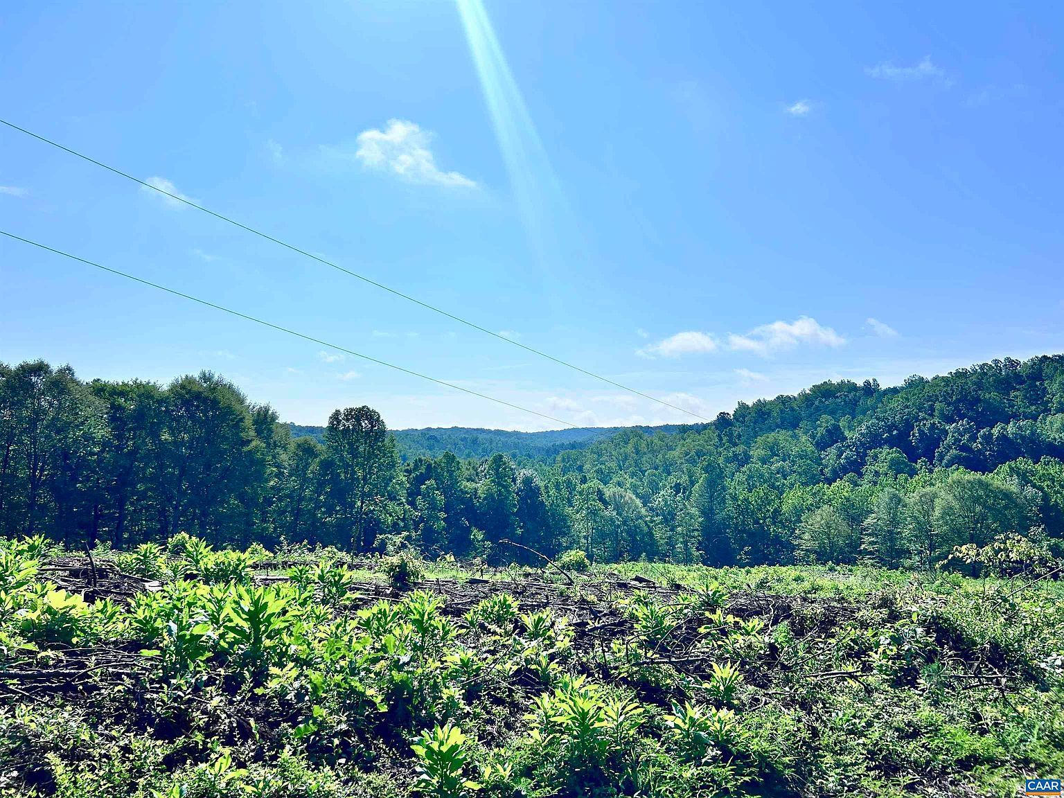 Hunting Lodge Rd Schuyler, VA 22969 - Thumbnail 5