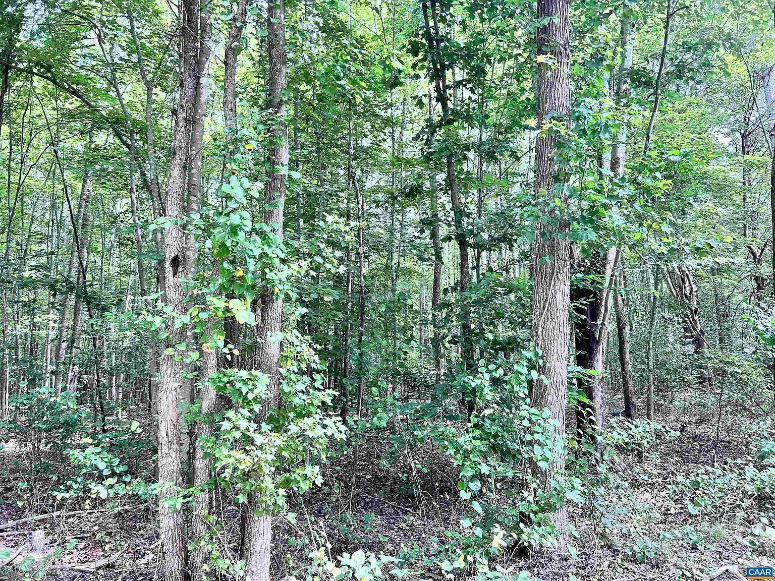 Old Shore Rd Blackstone, VA 23824 - Thumbnail 5