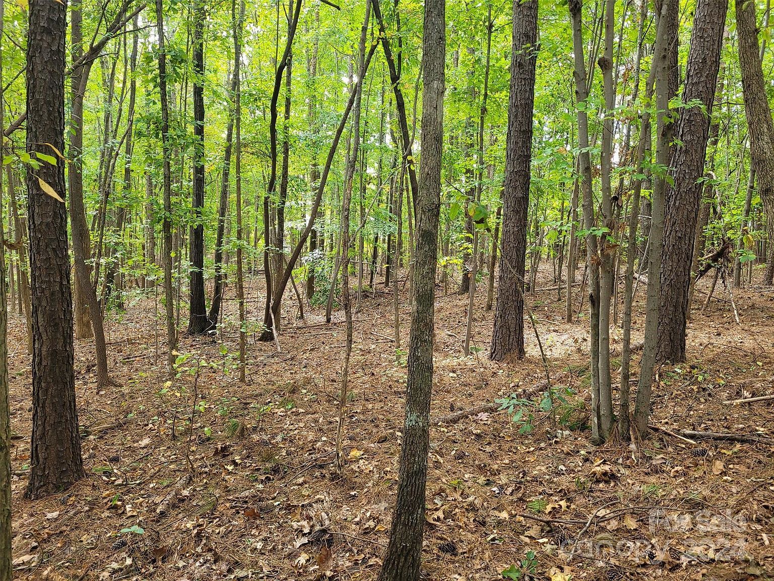 0 Wood Thrush Ln #27 Mooresville, NC 28117 - Thumbnail 5