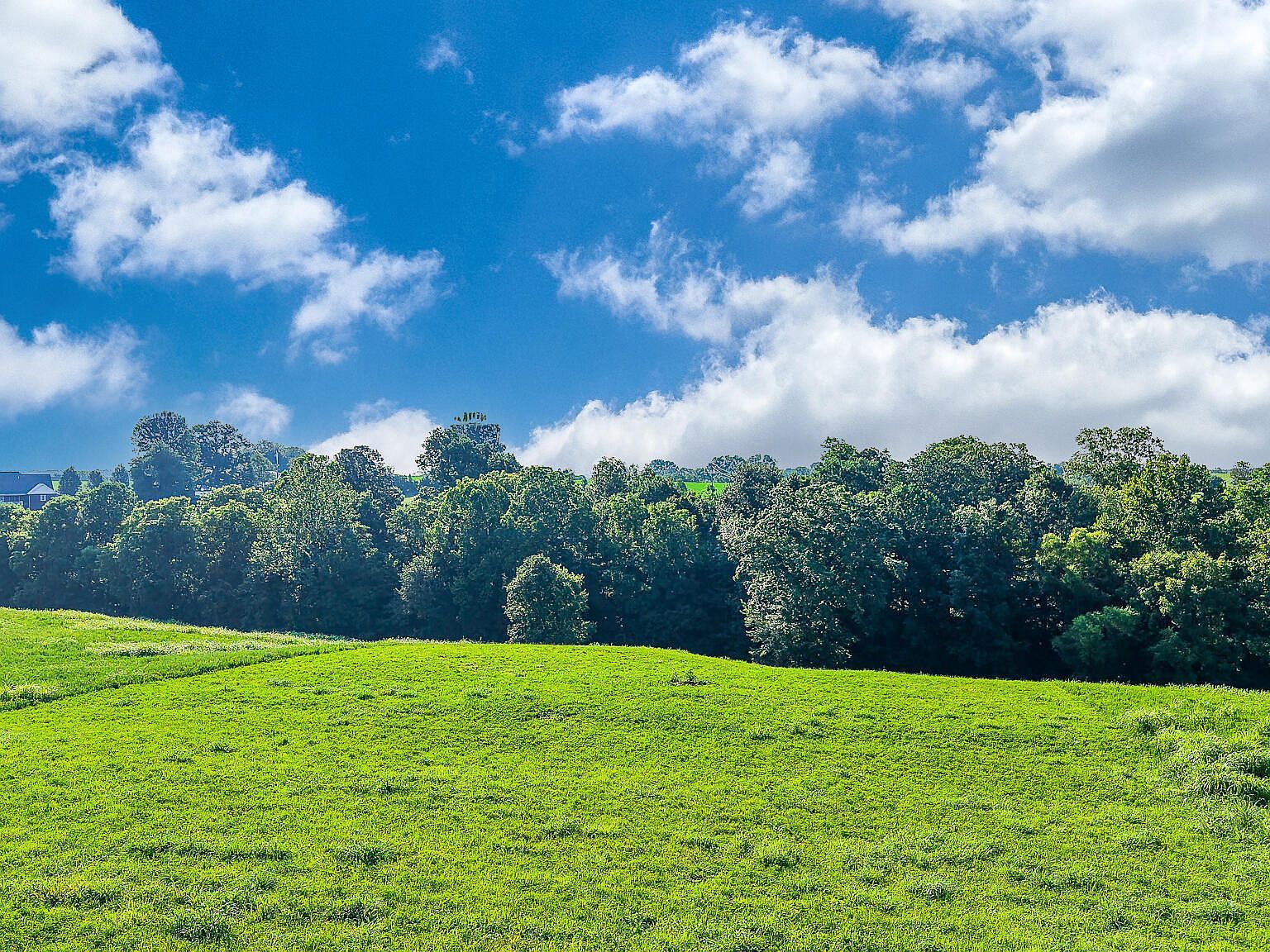 14 Evanwood Dr Owenton, KY 40359 - Thumbnail 5