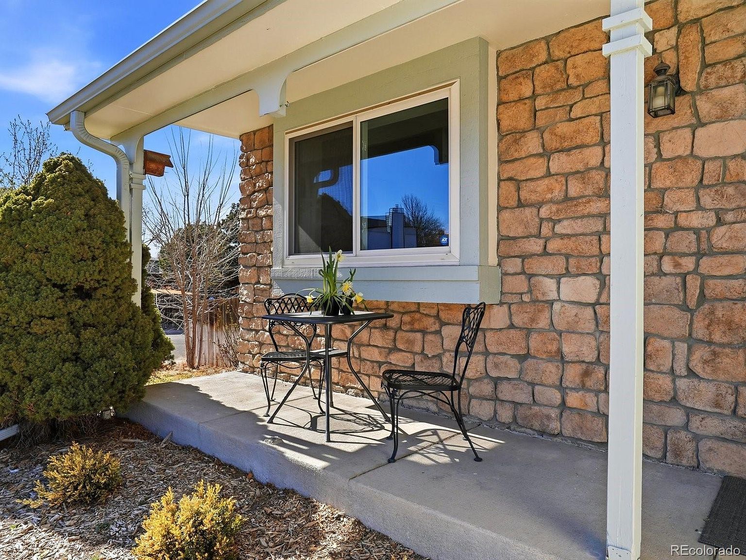 12143 Dahlia Dr Thornton, CO 80241 - Thumbnail 5