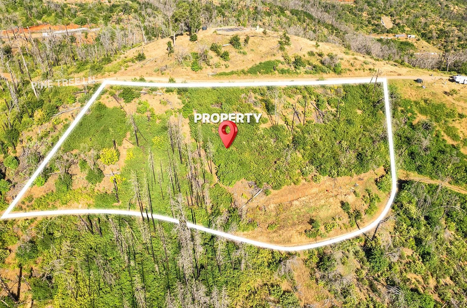 Pine Tree Ln Berry Creek, CA 95916 - Thumbnail 5