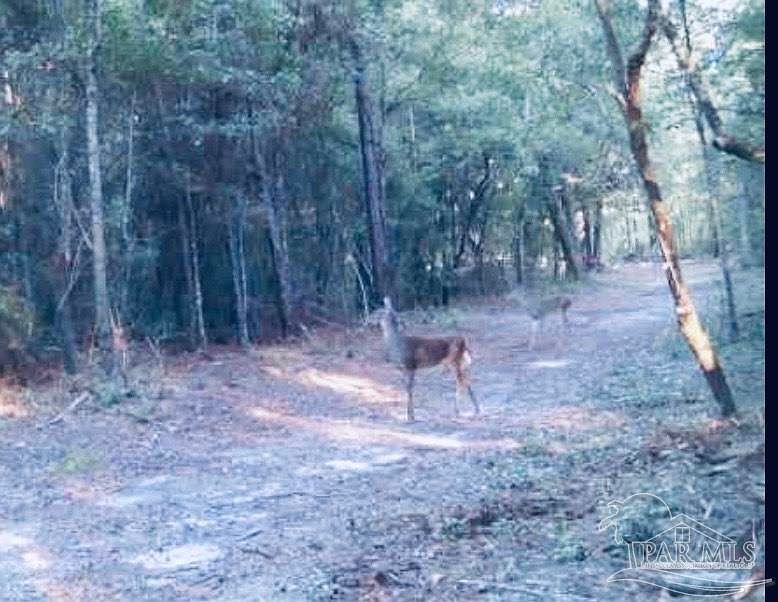 9499 Cornfield Way Milton, FL 32583  | Land/Lot