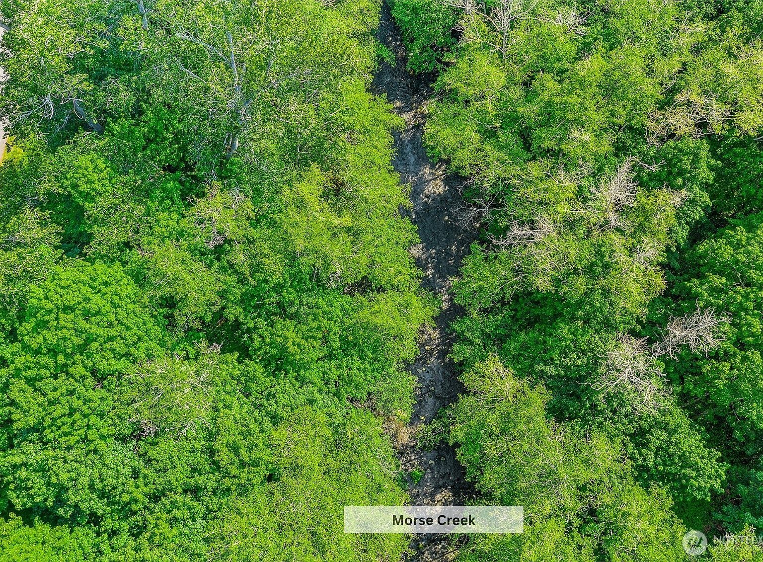 153 Strait View Dr Port Angeles, WA 98362 - Thumbnail 5