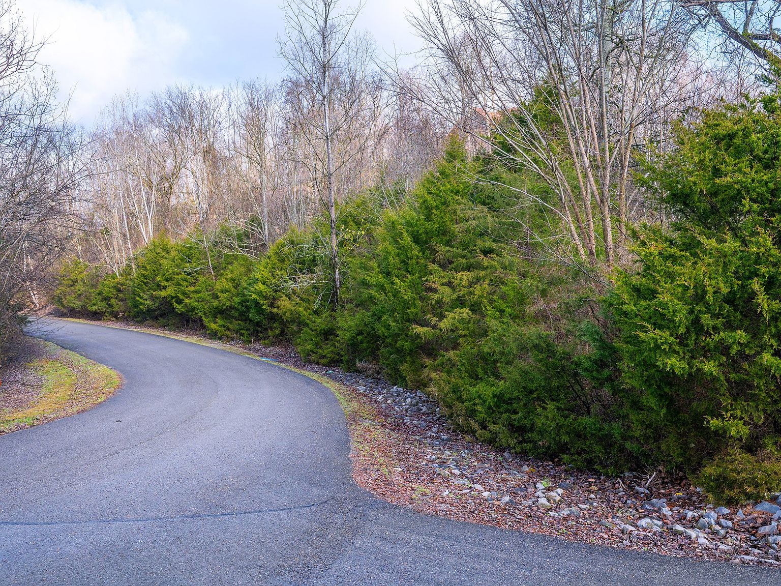 0 Lake Meadow Dr Lot 22 Smithville, TN 37166 - Thumbnail 5