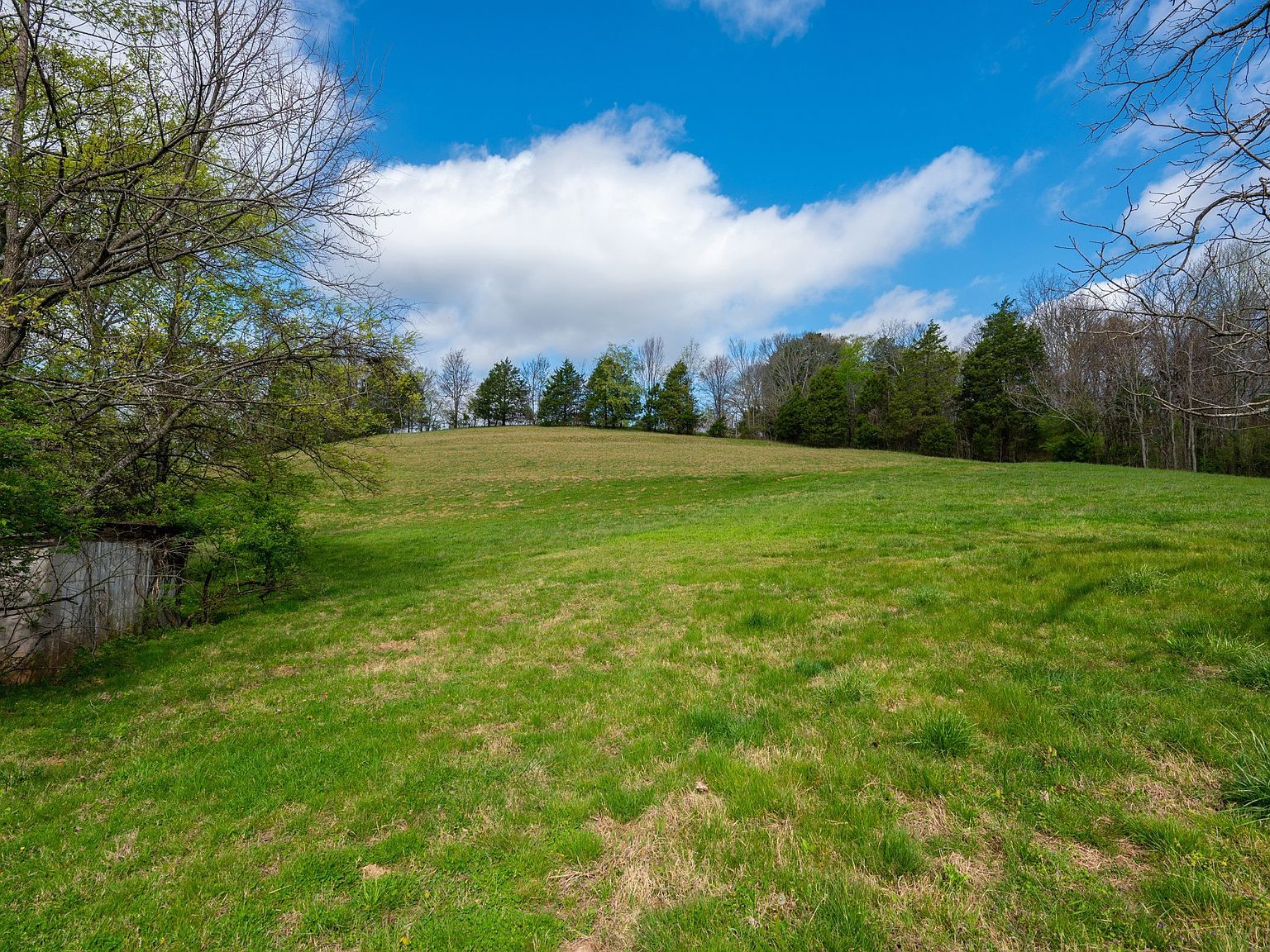 2882 Yokley Rd Lynnville, TN 38472 - Thumbnail 5