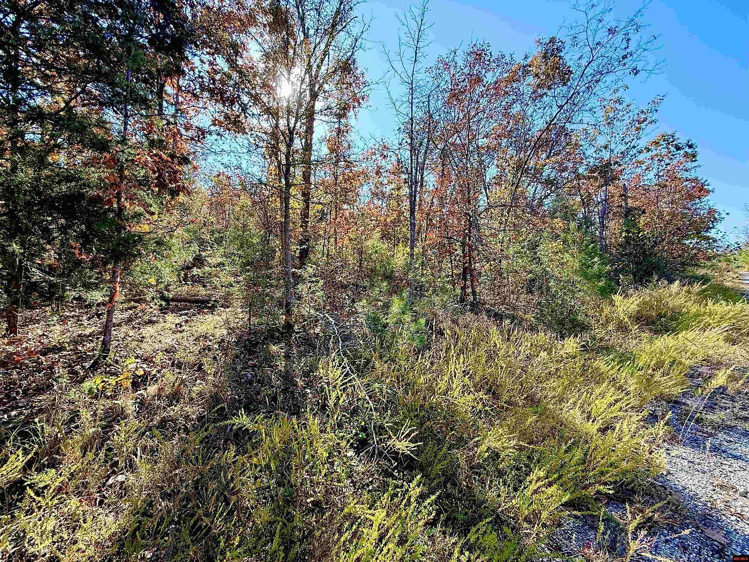 010-01589-000 Canmore Dr Mountain Home, AR 72653 - Thumbnail 5